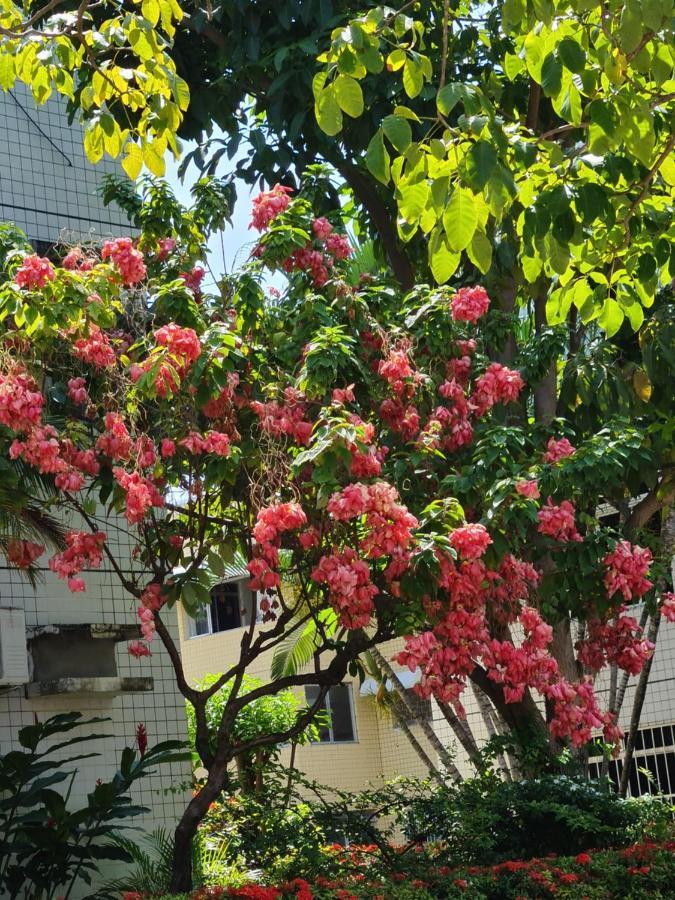 Apartamento Parque Jatiuca Apartment มาเซโอ ภายนอก รูปภาพ
